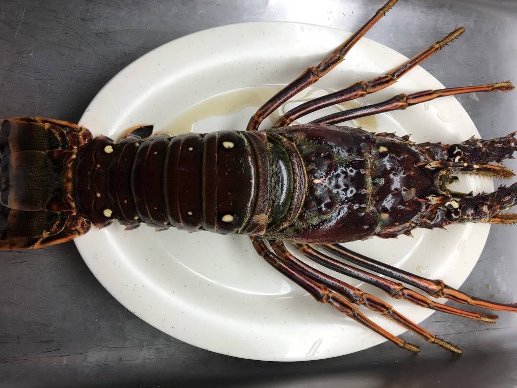 Hawallano Restaurant Sea Food | restaurant | 1521 Gessner Rd, Houston, TX 77080, USA | 7134975477 OR +1 713-497-5477