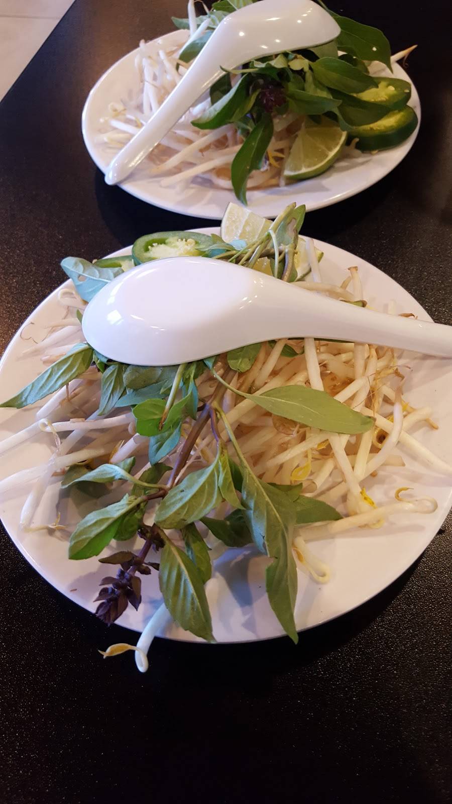 Song Lynn Vietnamese Restaurant | restaurant | 2755 N 91st Ave, Phoenix, AZ 85037, USA | 6239369535 OR +1 623-936-9535