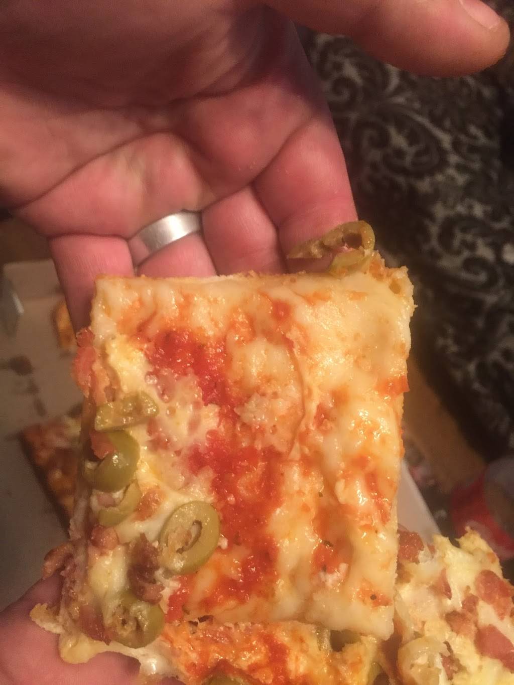 Pisa Pizza | restaurant | 55 Parkdale Ave N, Hamilton, ON L8H 5W7, Canada | 9055475777 OR +1 905-547-5777