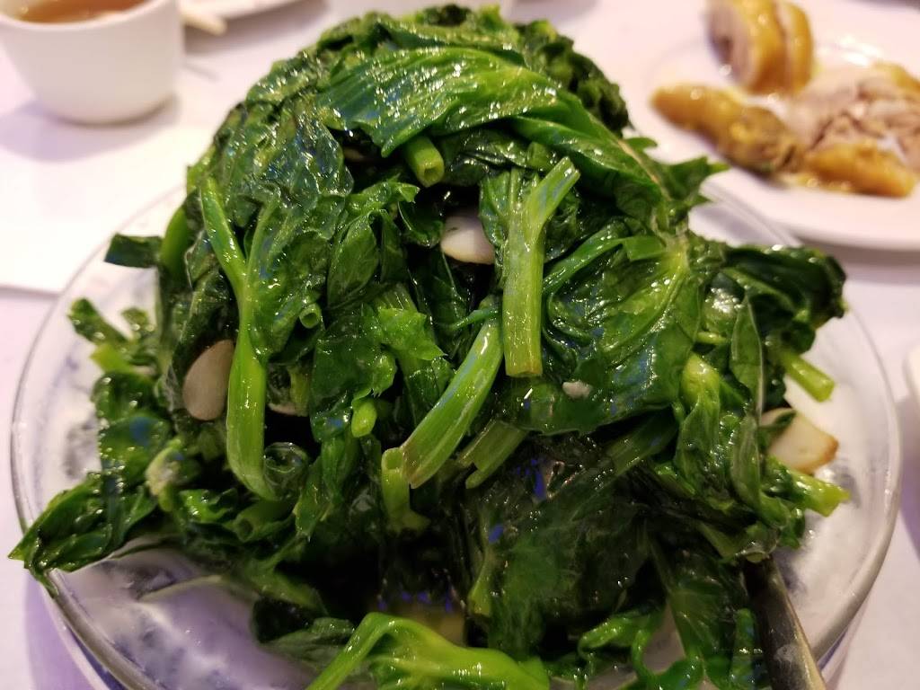 Jade Harbor Chinese Seafood Restaurant | restaurant | 6836 Bustleton Ave, Philadelphia, PA 19149, USA | 2675382431 OR +1 267-538-2431