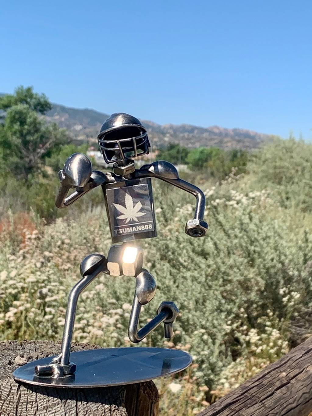 Starbucks | cafe | 26480 Bouquet Canyon Rd, Santa Clarita, CA 91350, USA | 6612638087 OR +1 661-263-8087