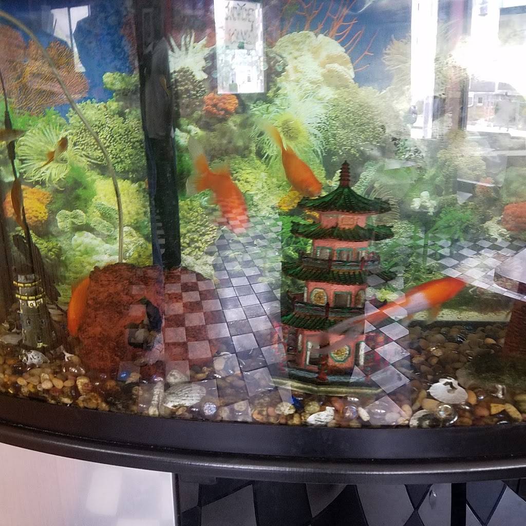 China Station | restaurant | 532 Washington St, Dorchester Center, MA 02124, USA | 6172658688 OR +1 617-265-8688