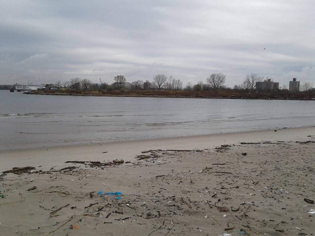 Emmons Bagels | bakery | 2253 Emmons Ave, Brooklyn, NY 11235, USA | 7189347665 OR +1 718-934-7665