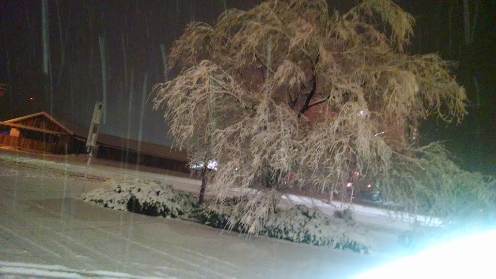 Shell | restaurant | 6209 Lake Isabella Blvd, Lake Isabella, CA 93240, USA | 7603792805 OR +1 760-379-2805