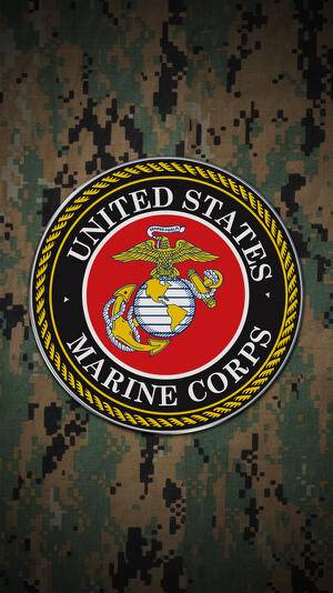 Varsity Bar & Grill | restaurant | 1205 W Main St, Sun Prairie, WI 53590, USA | 6083182729 OR +1 608-318-2729