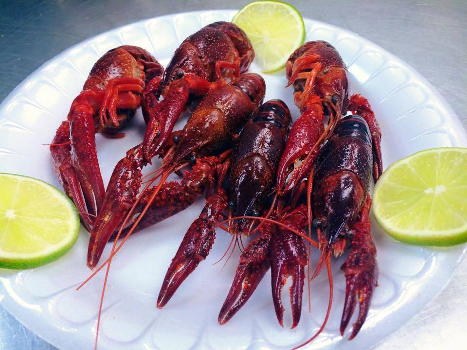 Rocking Crab | restaurant | 11407 Emerald St #101, Dallas, TX 75229, USA | 9722414406 OR +1 972-241-4406