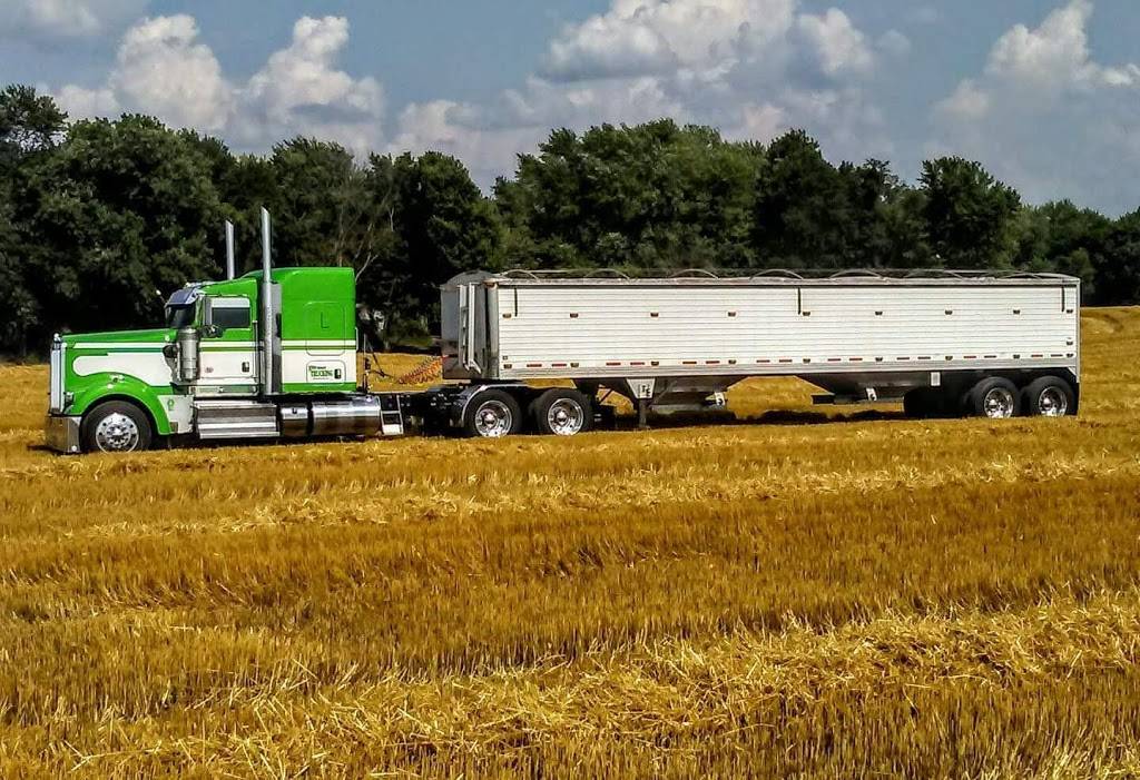 Blue Moon Bar & Grill | restaurant | 908 Main St, Hamburg, IA 51640, USA | 7123821323 OR +1 712-382-1323