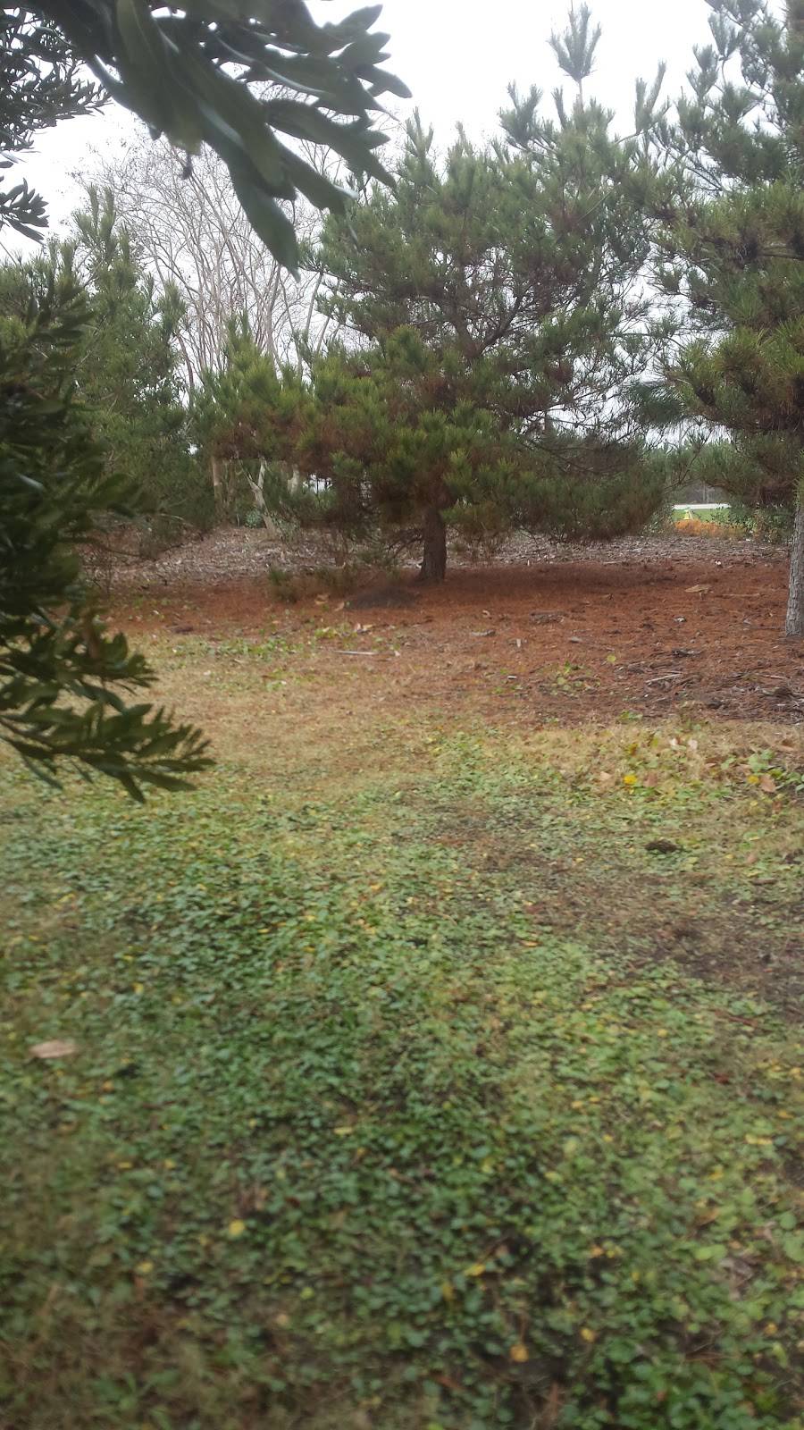 Bunkerz Grill and Deli | restaurant | 6104 Frontage Rd, Myrtle Beach, SC 29577, USA | 8432327117 OR +1 843-232-7117