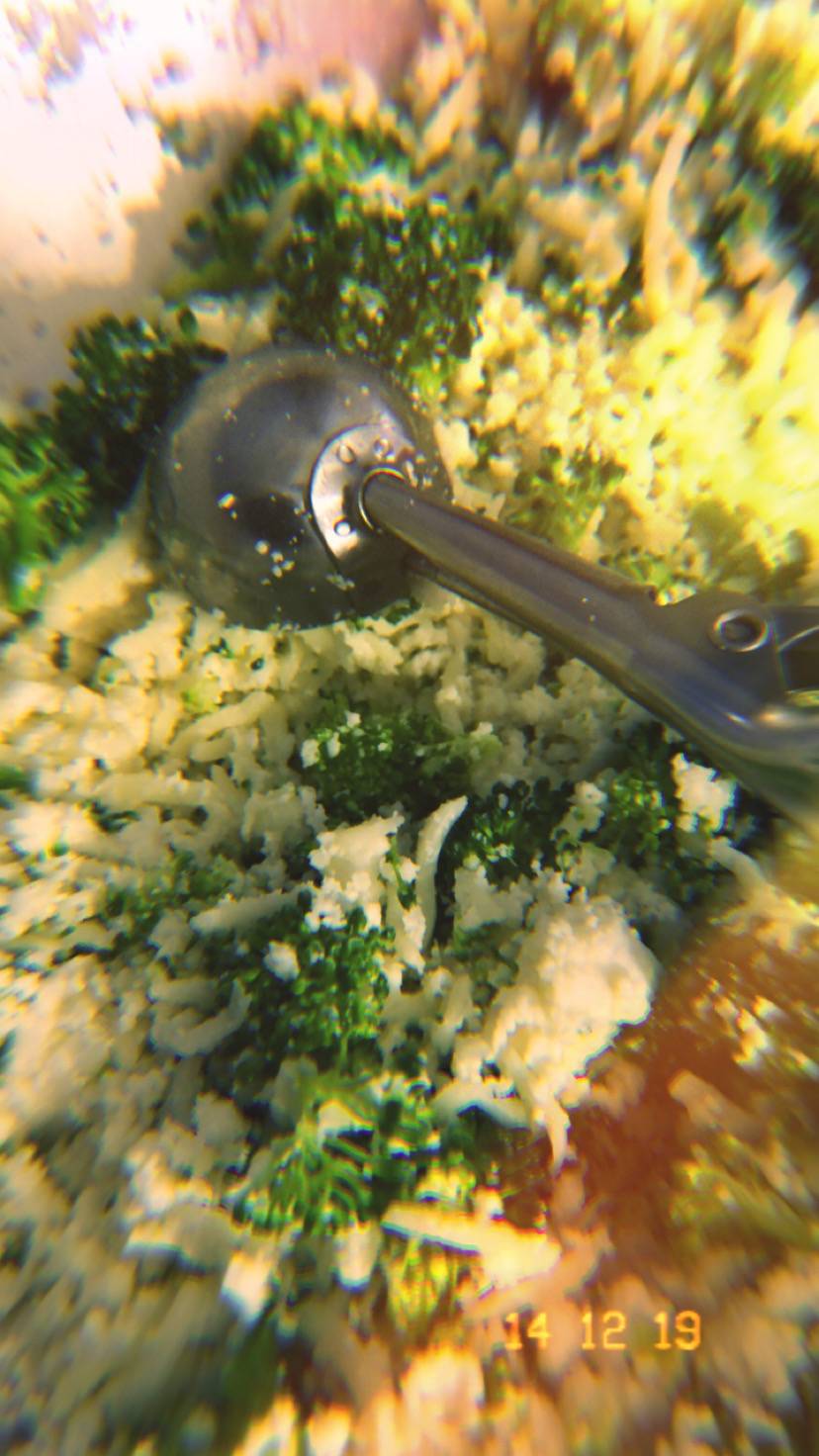 Empanada & Co. | restaurant | 334 E N Donnelly St, Mt Dora, FL 32757, USA | 4075164623 OR +1 407-516-4623