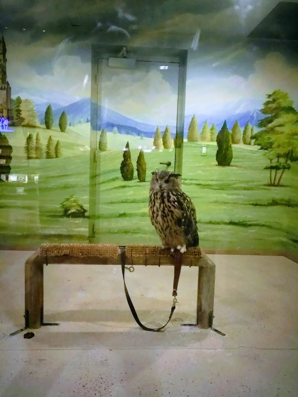 Medieval Times Dinner & Tournament | restaurant | 5900 Sugarloaf Pkwy Suite 517, Lawrenceville, GA 30043, USA | 7702250230 OR +1 770-225-0230