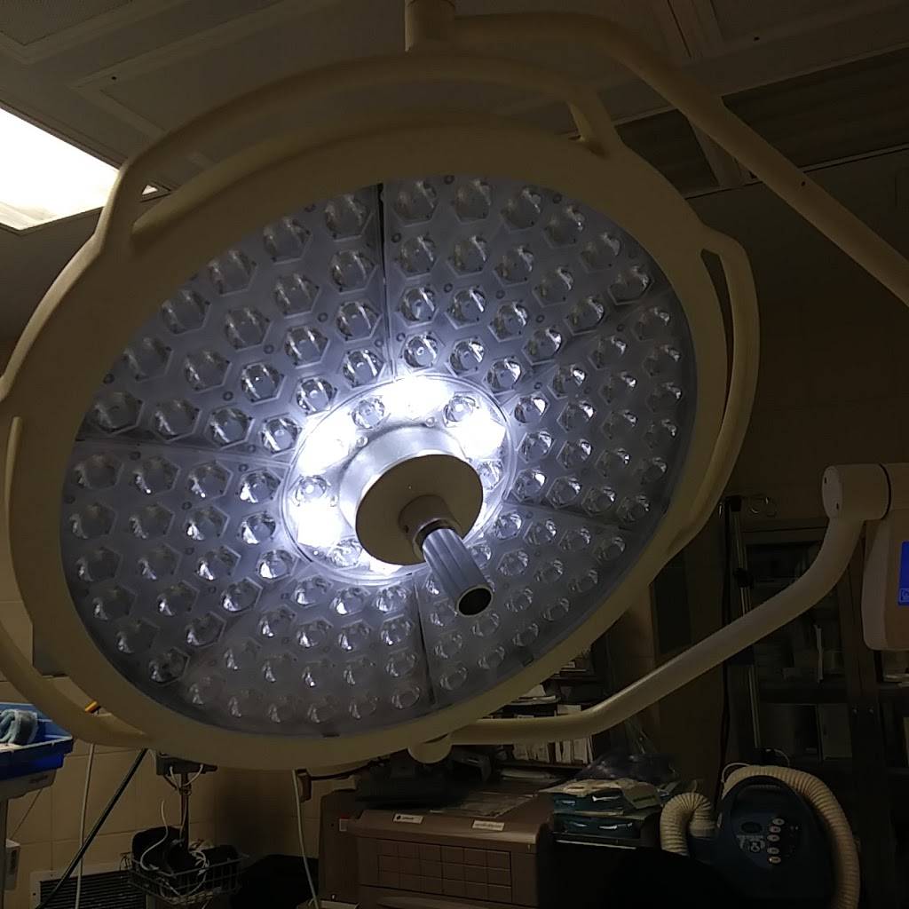 Los Parados Cafeteria | restaurant | 5394 NW 72nd Ave, Miami, FL 33166, USA | 3058841378 OR +1 305-884-1378