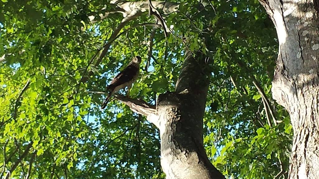 BRs Cafe | restaurant | 550 Monponsett St, Halifax, MA 02338, USA | 7812935606 OR +1 781-293-5606