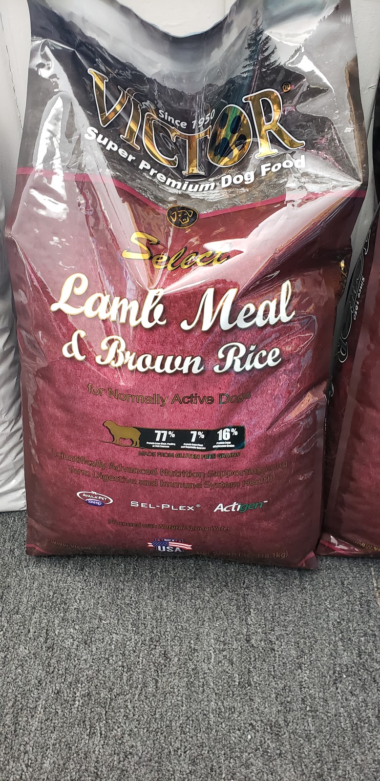 Talk of the Town Bullies | restaurant | 1925 16th St, Moline, IL 61265, USA | 3093732851 OR +1 309-373-2851