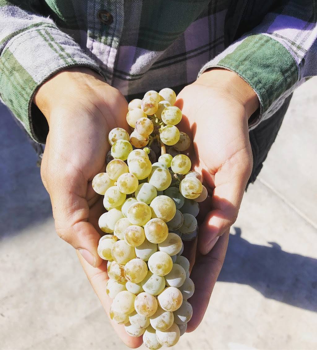 Chris James Cellars | Award winning wines | distinctive whites.  | meal takeaway | 12000 Old Wagon Rd, Carlton, OR 97111, USA | 5038521135 OR +1 503-852-1135