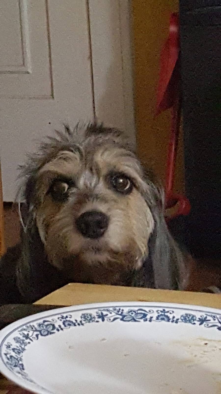 Remingtons Restaurant | restaurant | 425 Merchants Rd, Rochester, NY 14609, USA | 5854824434 OR +1 585-482-4434