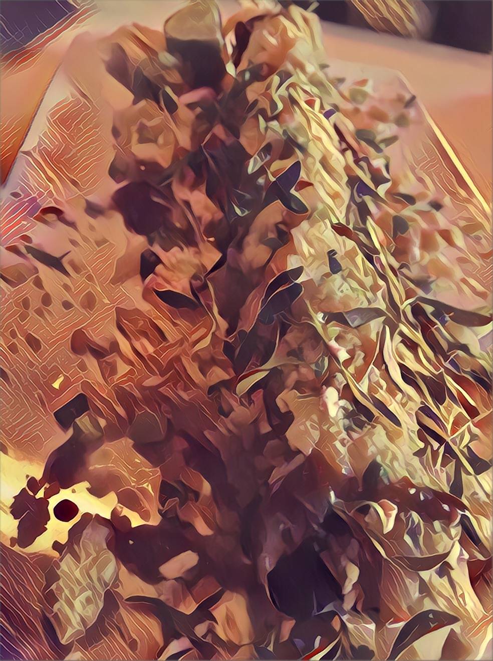 Saxon / Sushi | restaurant | 1509 Federal Hwy, Boynton Beach, FL 33435, USA | 5615099277 OR +1 561-509-9277