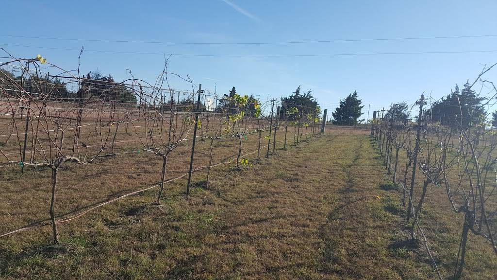 Majek Vineyard & Winery | restaurant | 12508 FM957, Schulenburg, TX 78956, USA | 2104138912 OR +1 210-413-8912