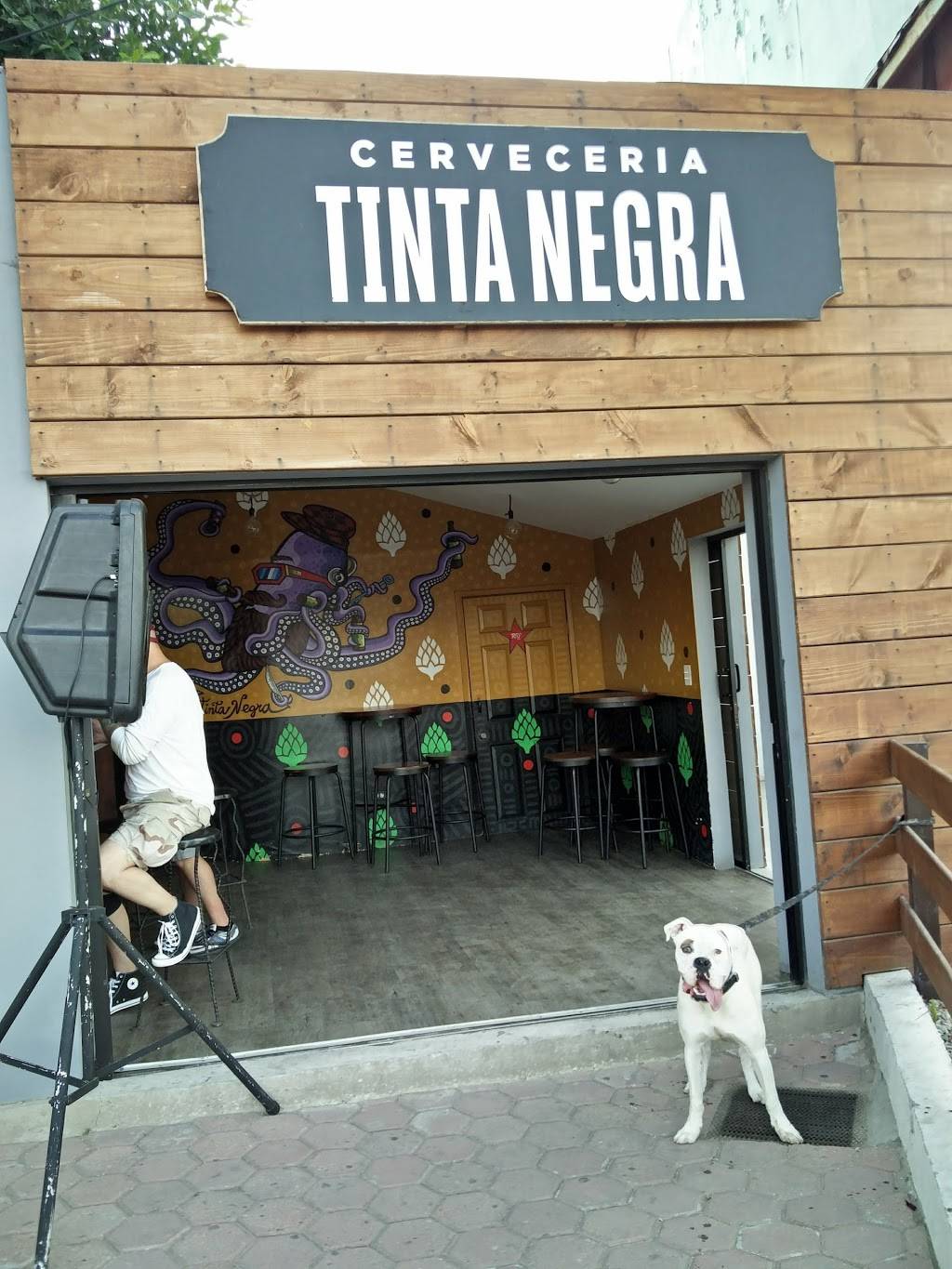 Nanas Fish and Chips | restaurant | Benito Juarez 1207 Loc C, Centro, Playas Rosarito, 22710 Rosarito, B.C., Mexico | 016616124776 OR +52 661 612 4776