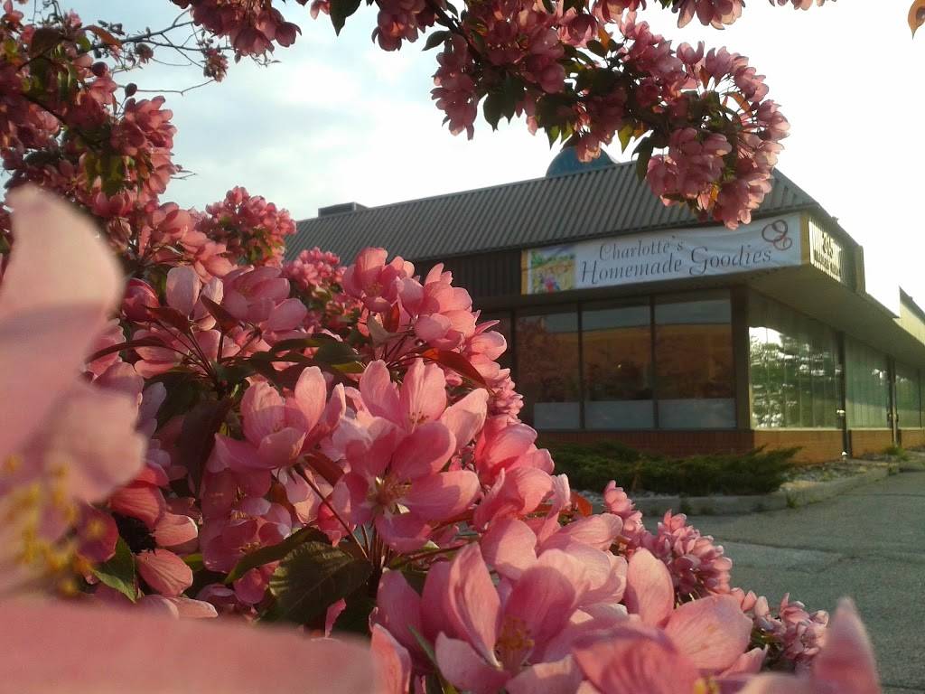 Charlottes Homemade Goodies | meal takeaway | 315 Traders Blvd E #5, Mississauga, ON L4Z 3E4, Canada | 6476602790 OR +1 647-660-2790