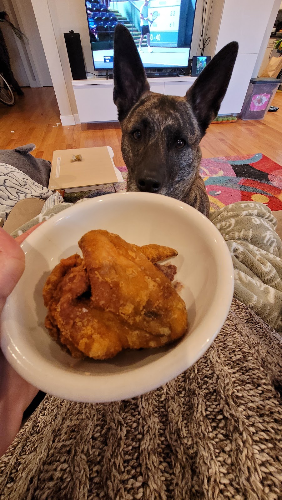 Side Chick Boston | meal takeaway | 692 Columbia Rd, Boston, MA 02125, USA | 6175061757 OR +1 617-506-1757