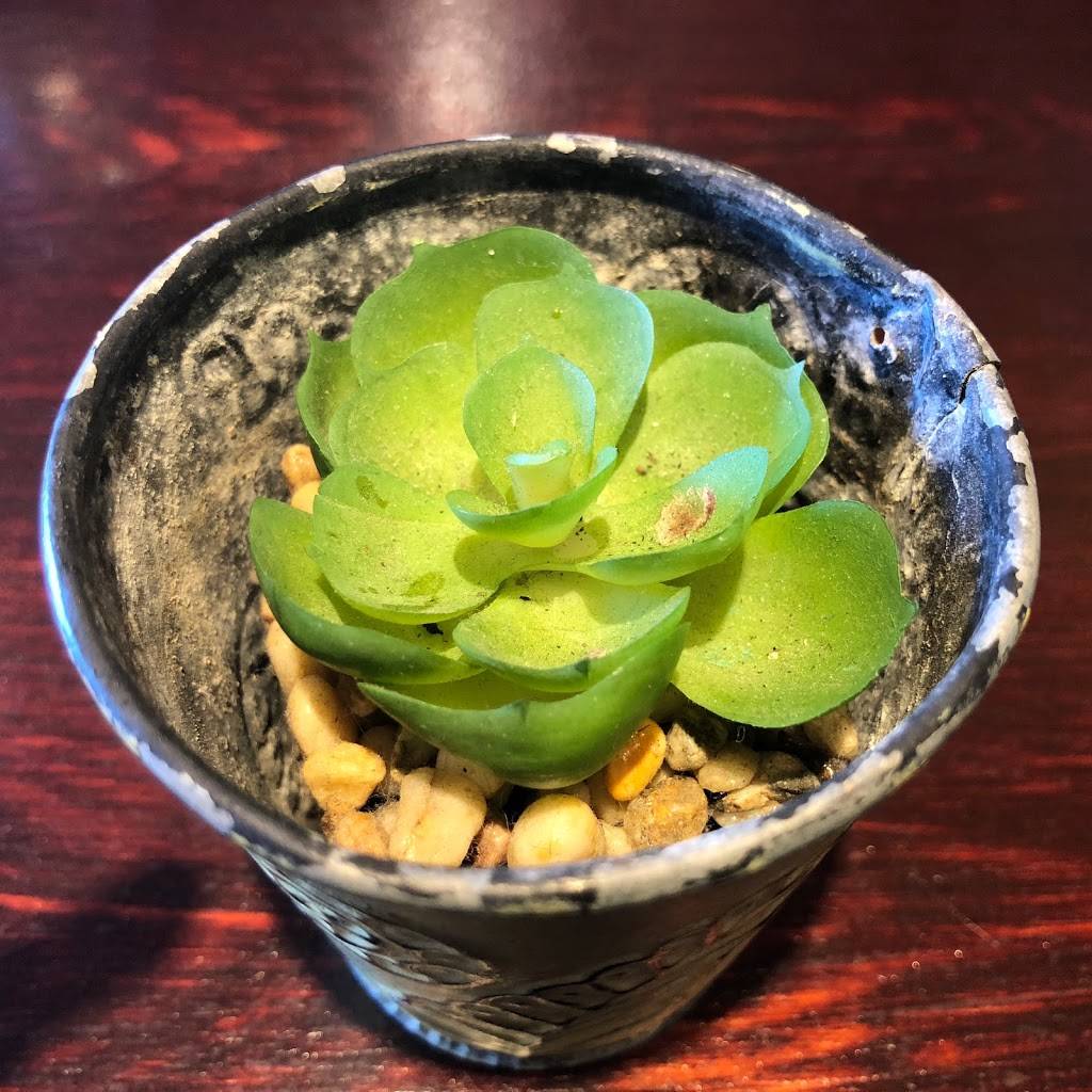 Wildflower Cafe | restaurant | 600 S Pacific Coast Hwy, Redondo Beach, CA 90277, USA | 3104063808 OR +1 310-406-3808