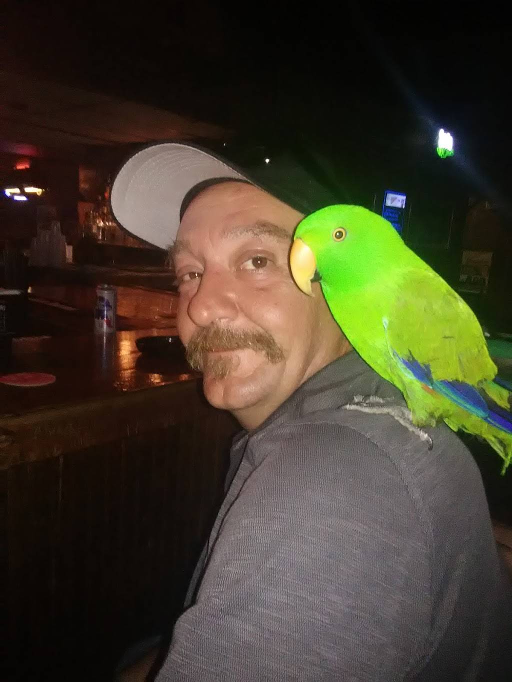 Mangos Beach Bar | restaurant | 602 1st St N, Jacksonville Beach, FL 32250, USA | 9042464200 OR +1 904-246-4200