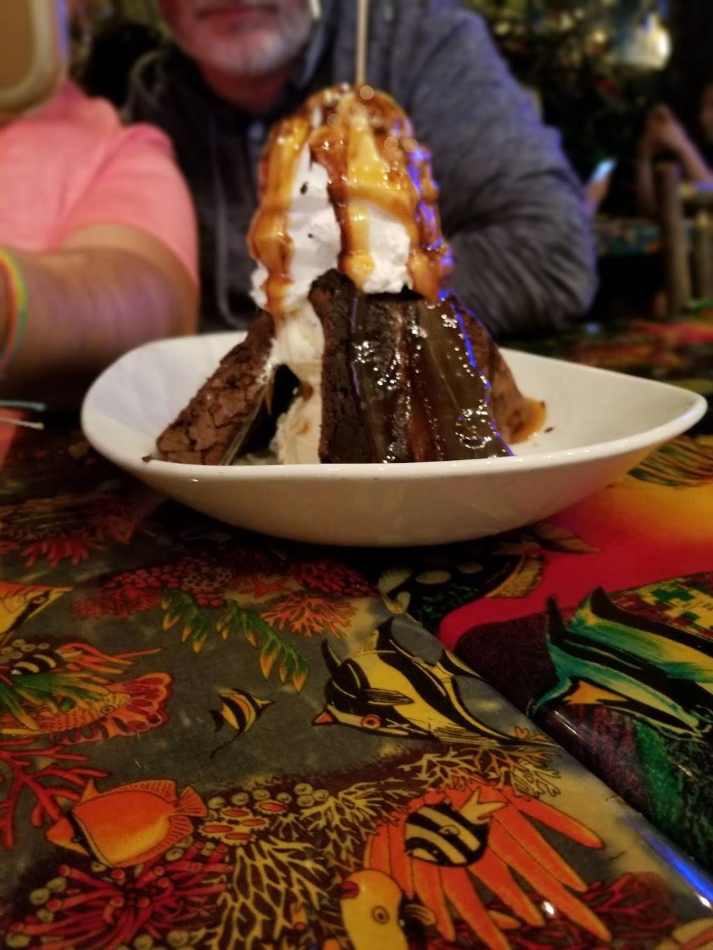 Rainforest Cafe | restaurant | 2201 Boardwalk, Atlantic City, NJ 08401, USA | 6093455757 OR +1 609-345-5757