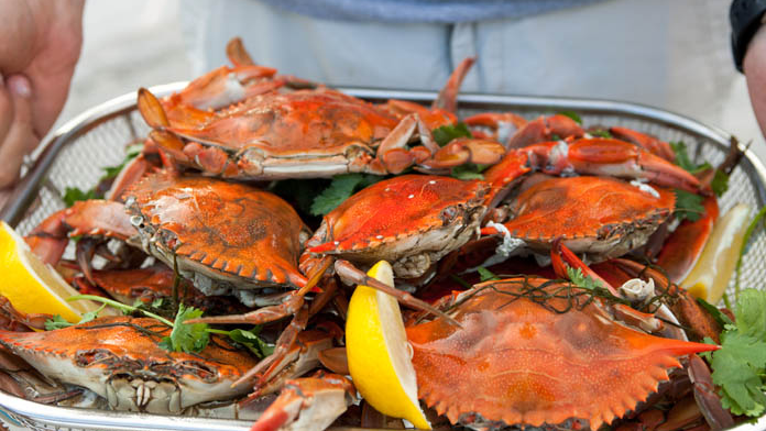 Crab Express | restaurant | 1743 45th St, West Palm Beach, FL 33407, USA | 5618480070 OR +1 561-848-0070