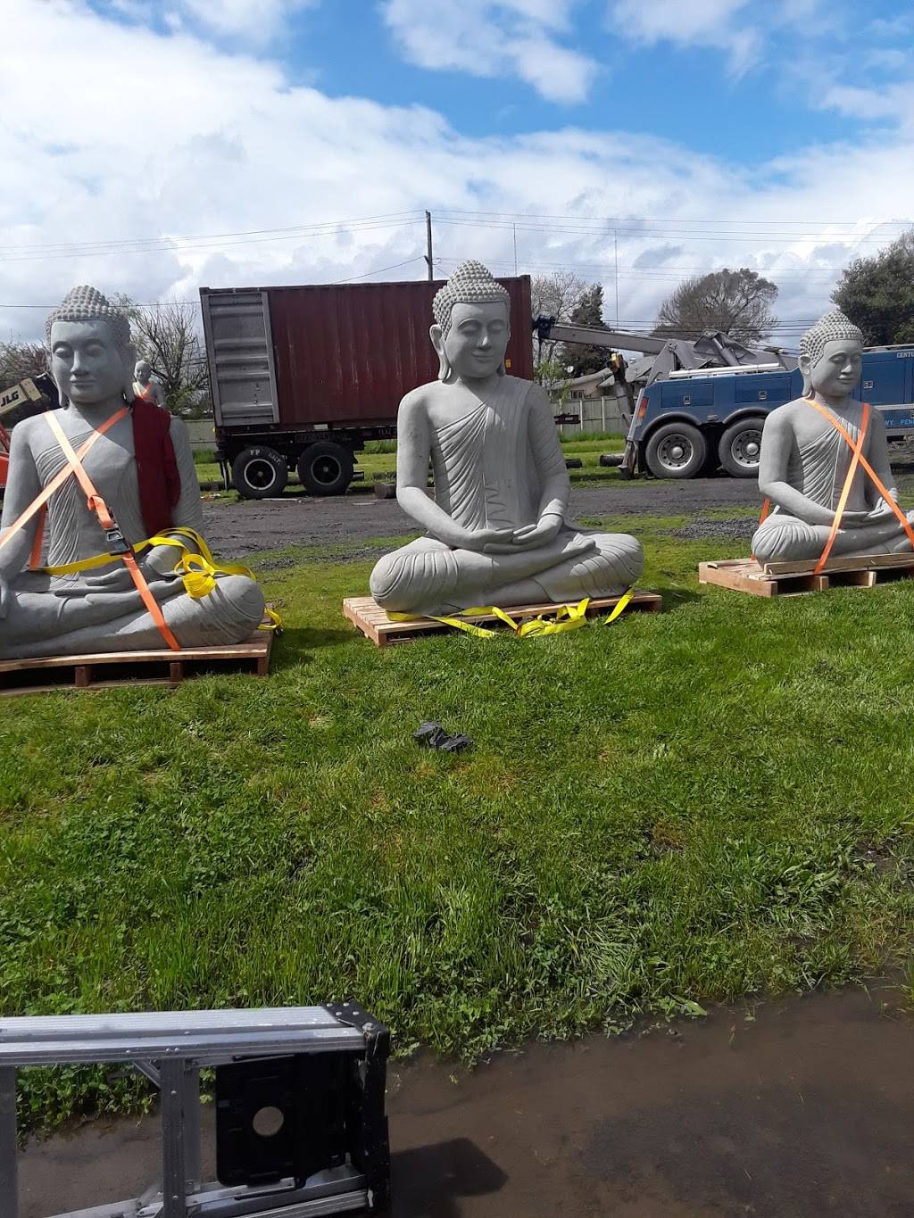 Starbucks | cafe | 2780 Stony Point Rd, Santa Rosa, CA 95407, USA | 7075457057 OR +1 707-545-7057