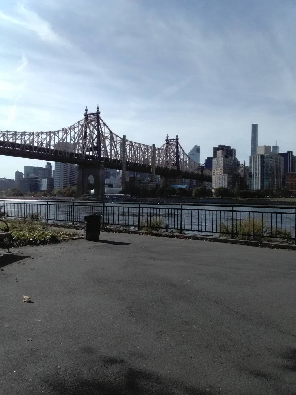 Subway Restaurants | restaurant | 513 Main St, Roosevelt Island, NY 10044, USA | 2124867700 OR +1 212-486-7700