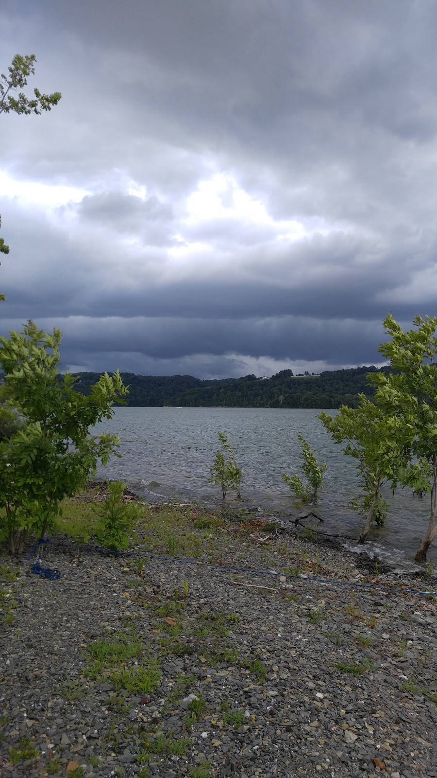 Pier 42 Restaurant at Sunset Marina | restaurant | 2040 Sunset Dock Rd, Monroe, TN 38573, USA | 9318644874 OR +1 931-864-4874