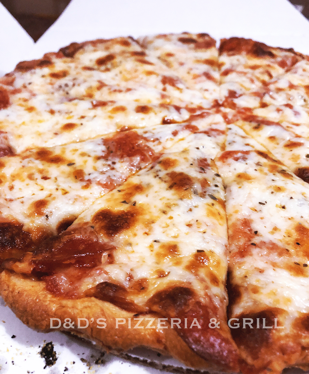D&Ds Pizzeria & Grill | restaurant | 35366 N US Hwy 12, Ingleside, IL 60041, USA | 8479731000 OR +1 847-973-1000