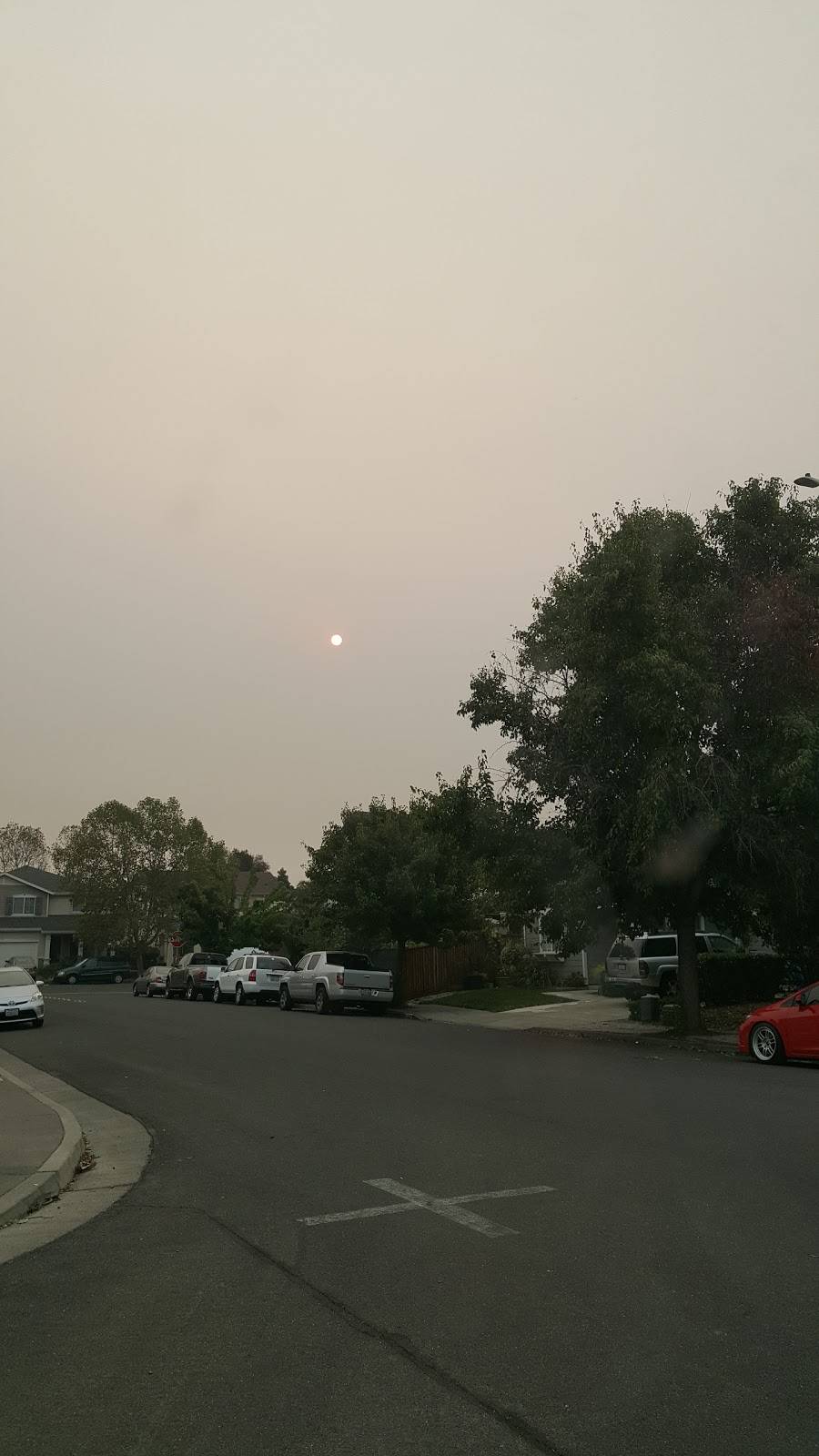 Homemade Tortilla Restaurant | restaurant | 2770 Stony Point Rd, Santa Rosa, CA 95407, USA | 7075219977 OR +1 707-521-9977