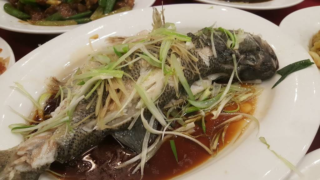 18 Stars Kitchen | restaurant | 8515 18th Ave, Brooklyn, NY 11214, USA | 7182560218 OR +1 718-256-0218