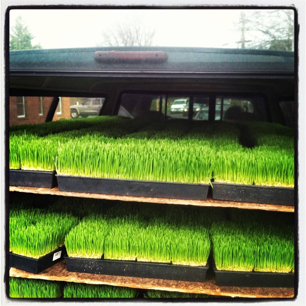 Kure Juice Bar | restaurant | 4409 SE Hawthorne Blvd, Portland, OR 97215, USA | 8557775873 OR +1 855-777-5873