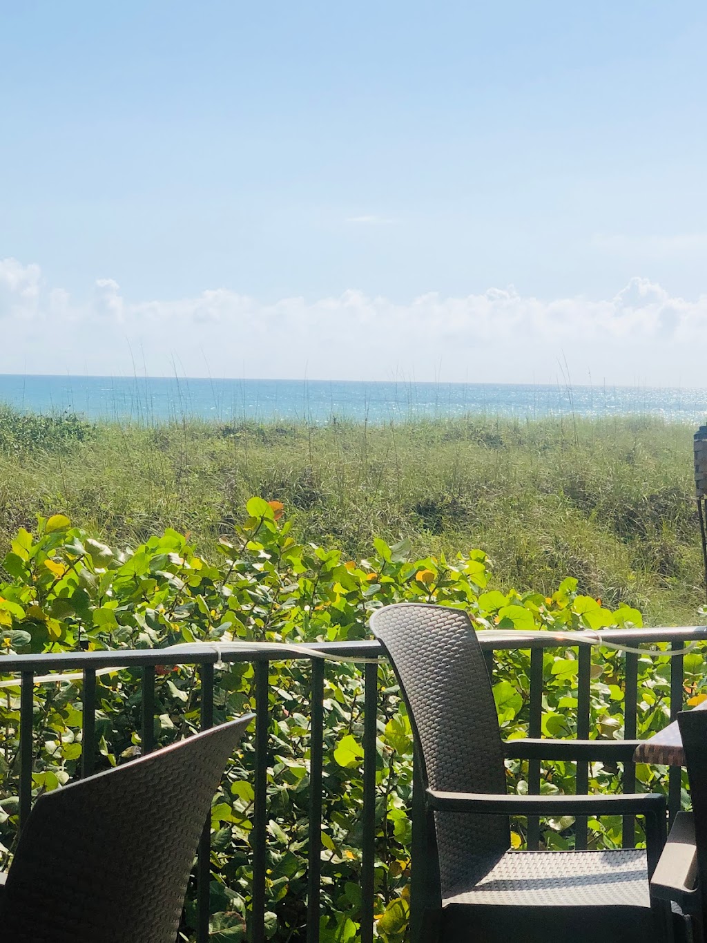 Island Beach Bar and Restaurant | restaurant | 2400 S Ocean Dr, Fort Pierce, FL 34949, USA | 7724094677 OR +1 772-409-4677