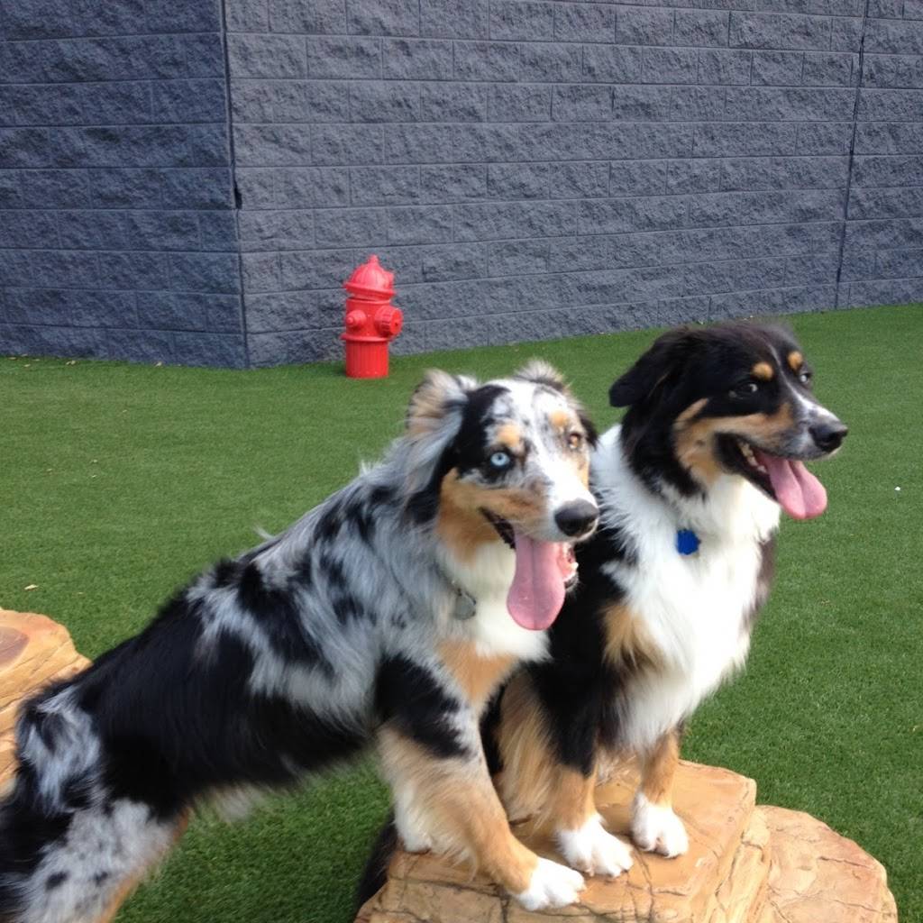 Play Wash Pint | restaurant | 113 Johnson St, Chattanooga, TN 37408, USA | 4236432275 OR +1 423-643-2275