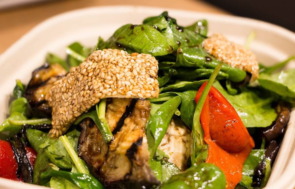 GRECO | restaurant | 225 Newbury St, Boston, MA 02116, USA | 6175723300 OR +1 617-572-3300