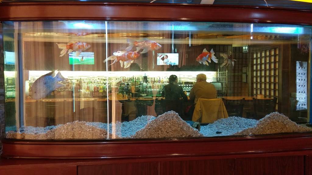 Osaka Hibachi & Sushi Bar | restaurant | 5201 W War Memorial Dr Suite 502, Peoria, IL 61615, USA | 3096919888 OR +1 309-691-9888