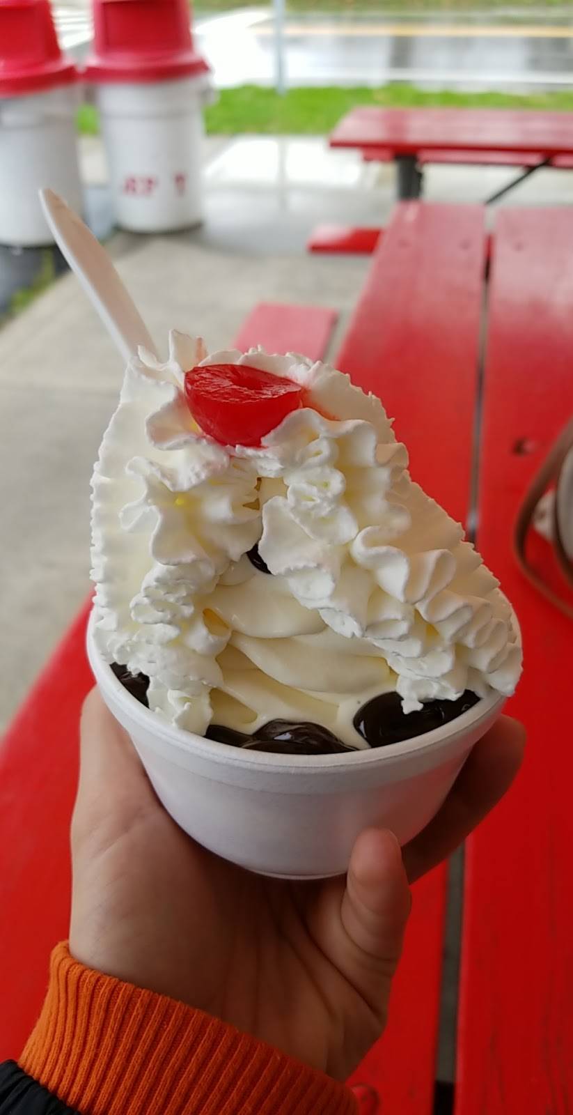 Dairy Depot | restaurant | N Sandusky St, Delaware, OH 43015, USA | 7403635297 OR +1 740-363-5297