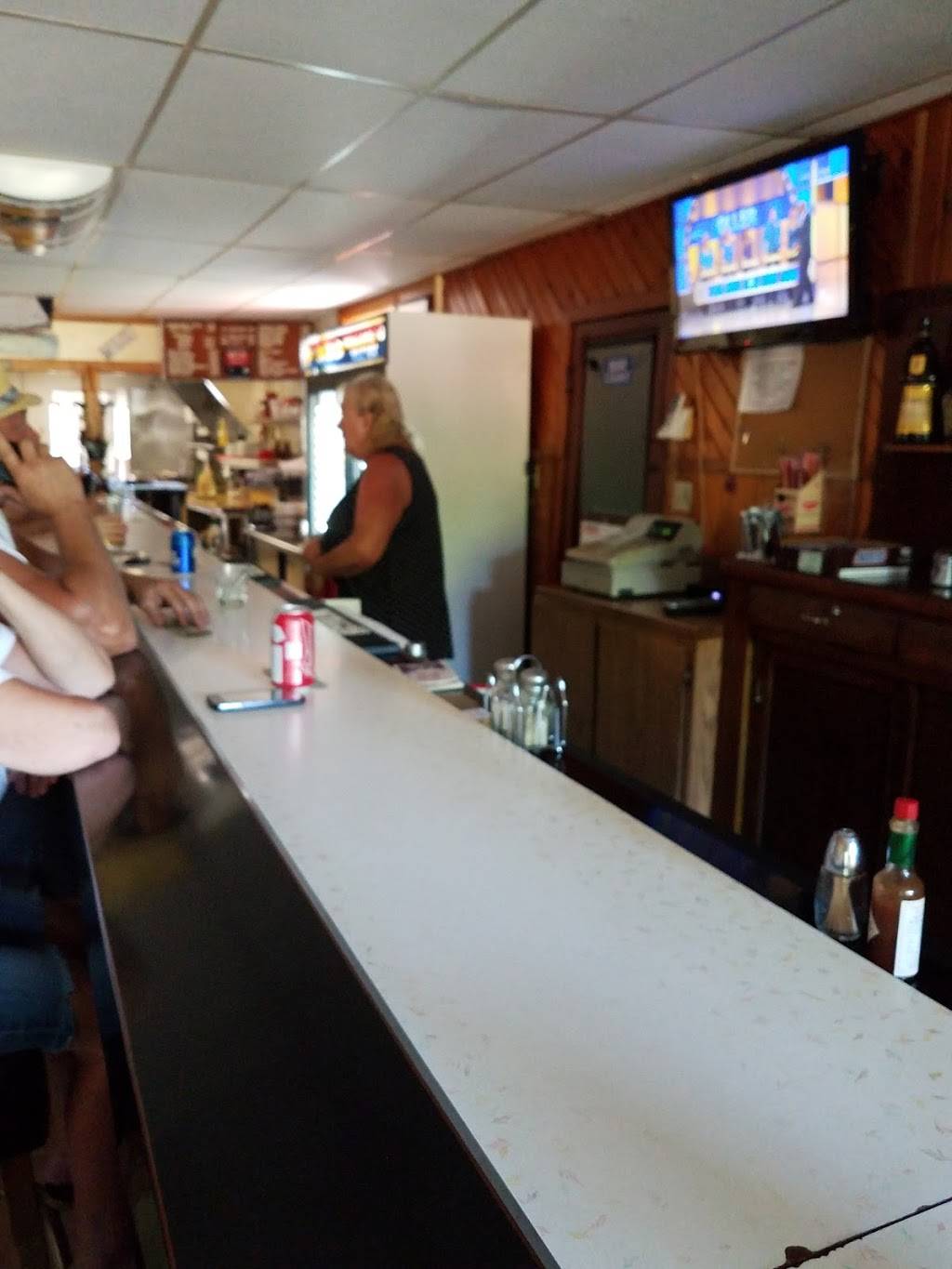 Lone Rock Bistro and Taproom | restaurant | 234 S Oak St, Lone Rock, WI 53556, USA | 6085832086 OR +1 608-583-2086