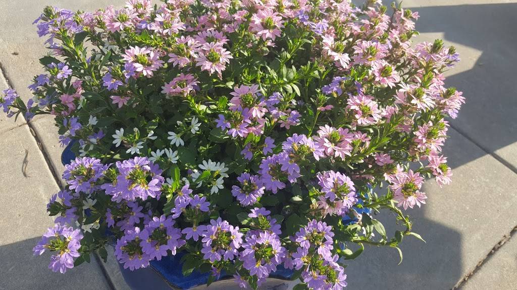 Culvers | restaurant | 4940 N 27th St, Lincoln, NE 68521, USA | 4024358008 OR +1 402-435-8008