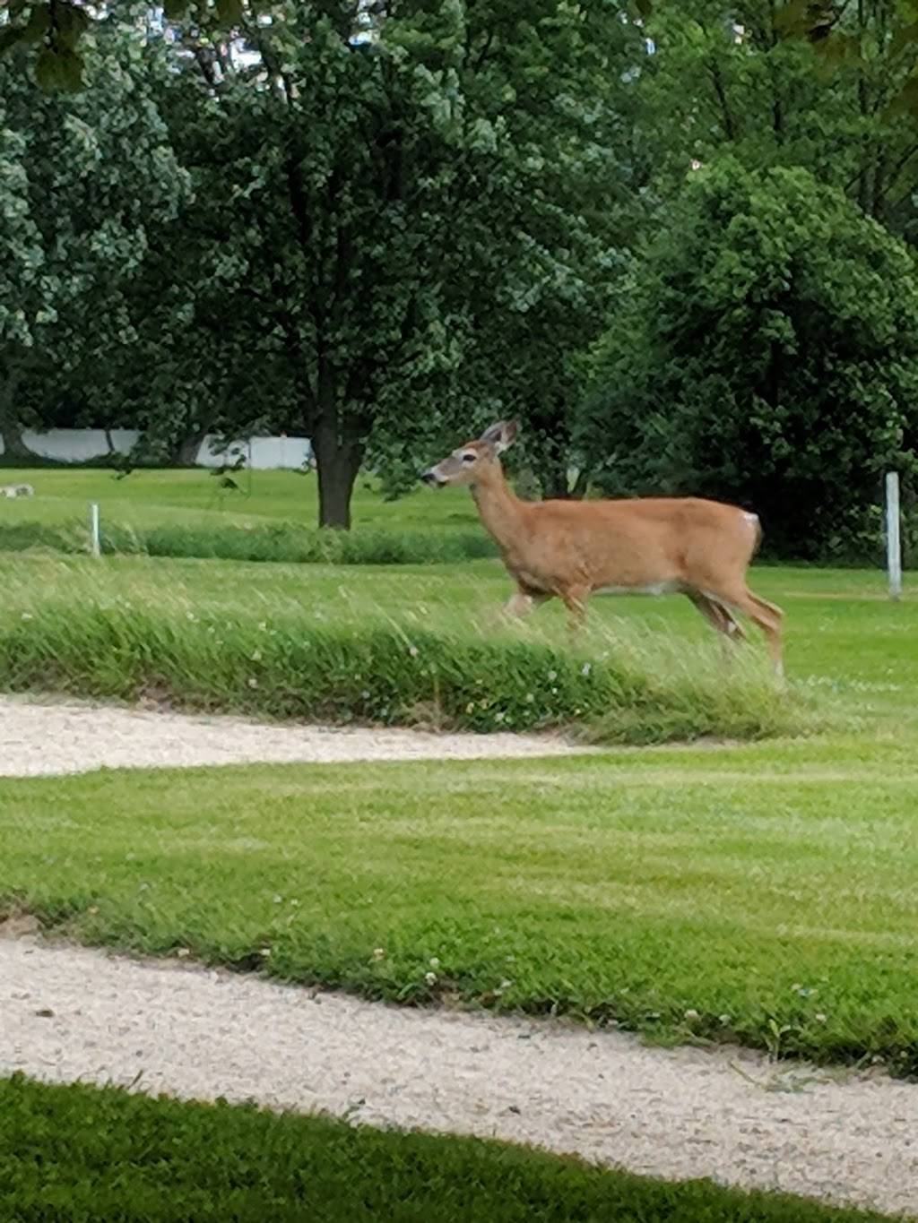 Ives Hill Country Club | restaurant | 465 W Flower Ave, Watertown, NY 13601, USA | 3157754837 OR +1 315-775-4837