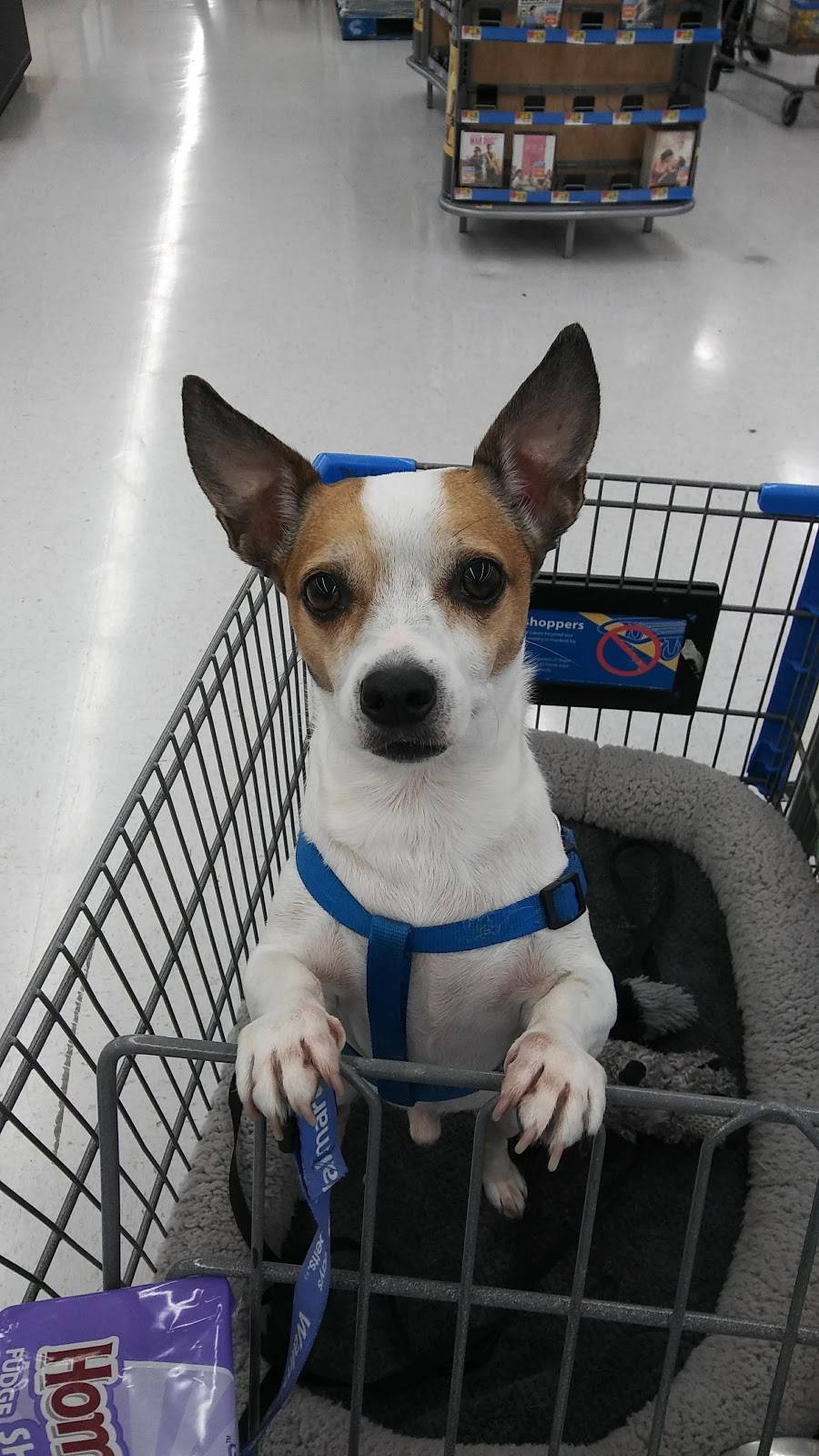 Little Caesars Pizza | meal takeaway | 700 Airport Dr, Bakersfield, CA 93308, USA | 6613994444 OR +1 661-399-4444