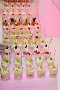 Elegant Kosher Catering & Events | restaurant | 3524 N Ocean Blvd, Fort Lauderdale, FL 33308, USA | 9548002051 OR +1 954-800-2051