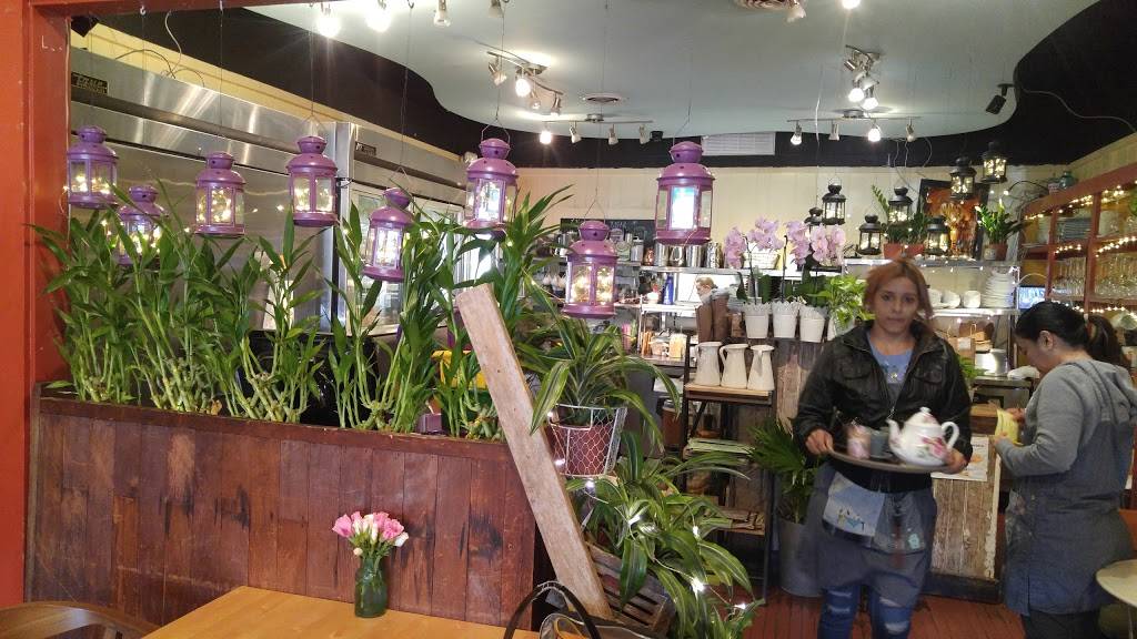 Coco Thai Bistro | restaurant | 231 Haverford Ave, Narberth, PA 19072, USA | 6106677634 OR +1 610-667-7634