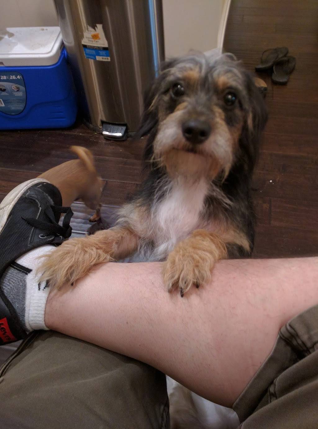 Hibernia Pavilion | shopping mall | 865 Hibernia Rd, Fleming Island, FL 32003, USA | 9045987000 OR +1 904-598-7000