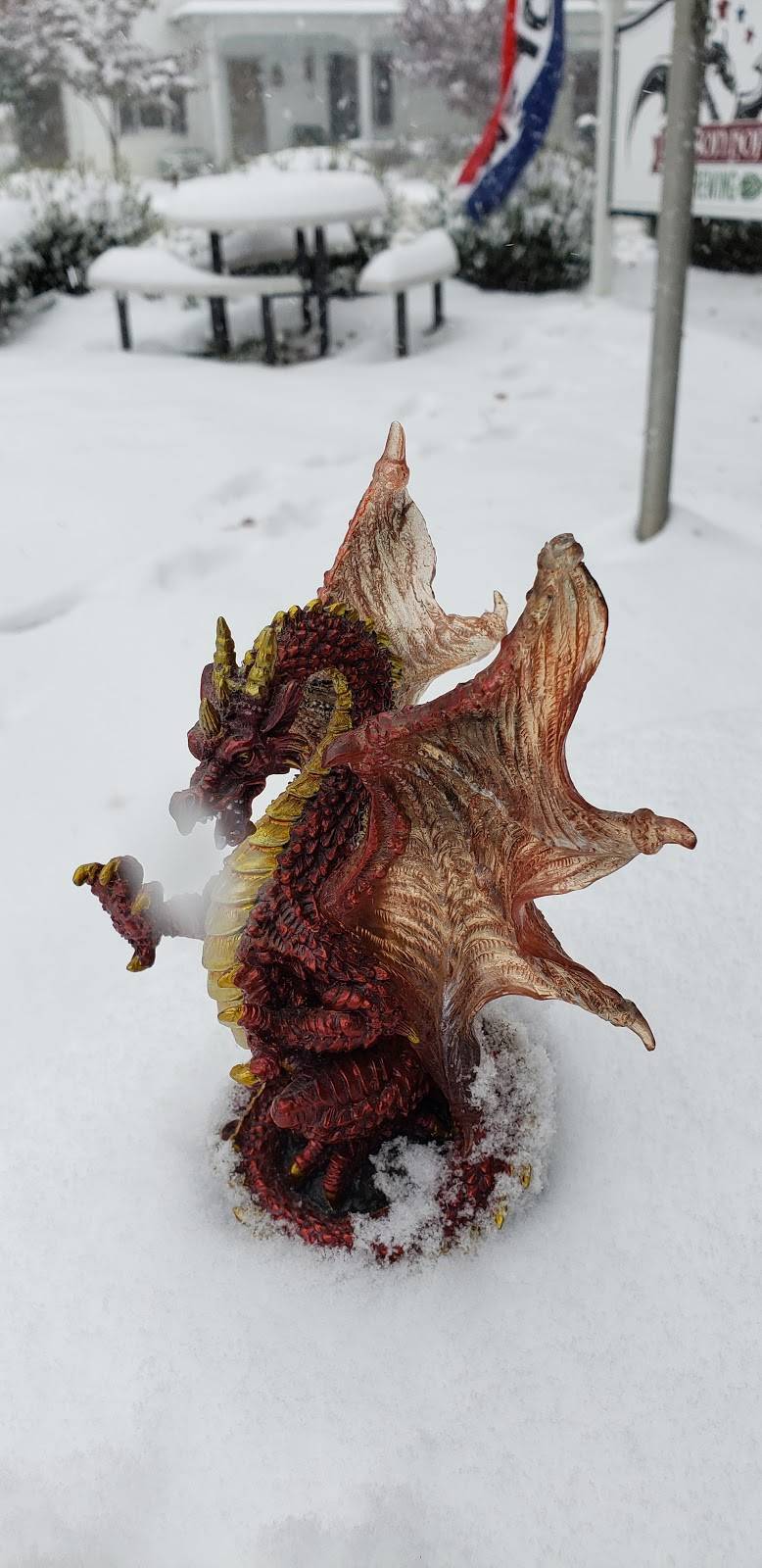 Dragon Hops Brewing | restaurant | 130 E Main St, Purcellville, VA 20132, USA | 5404413660 OR +1 540-441-3660