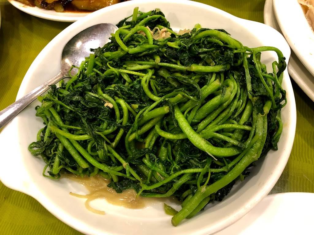 City Cafe | cafe | 5603 8th Ave, Brooklyn, NY 11220, USA | 7188518208 OR +1 718-851-8208