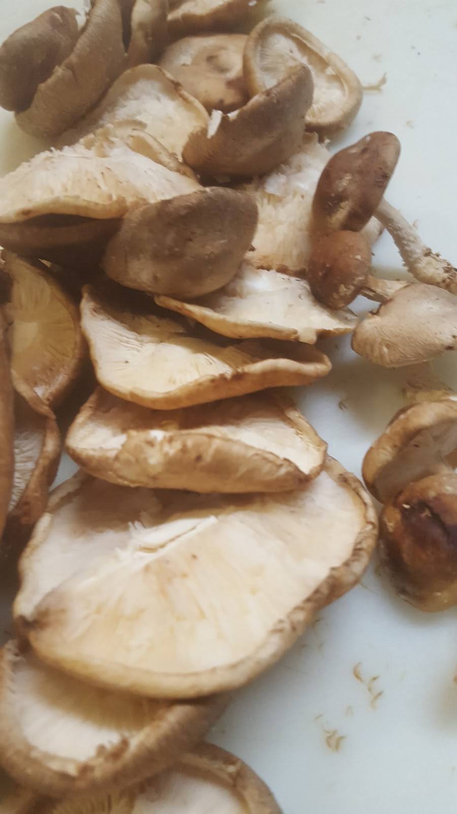 Cafe Porto Bello | restaurant | 672 E Broadway, South Boston, MA 02127, USA | 6172697680 OR +1 617-269-7680